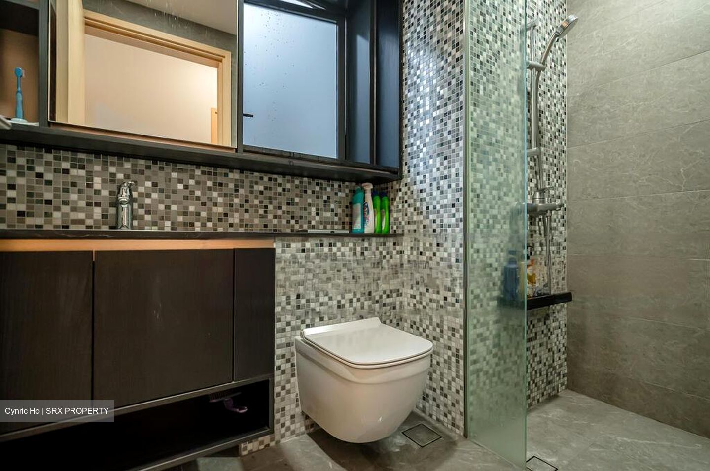 The Antares (D14), Apartment #484643451